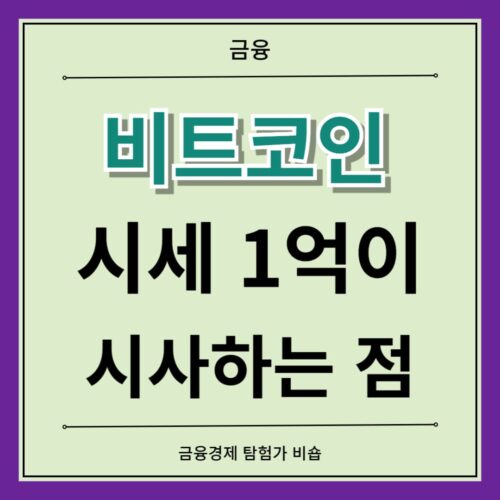 비트코인시세1억이 시사하는점 반감기 추세